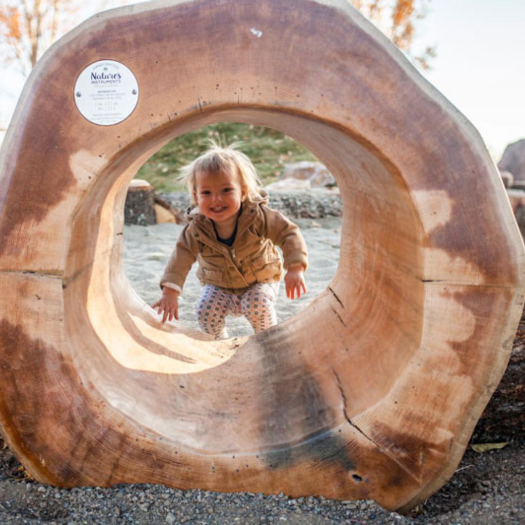 Nature’s Instruments Log Tunnel